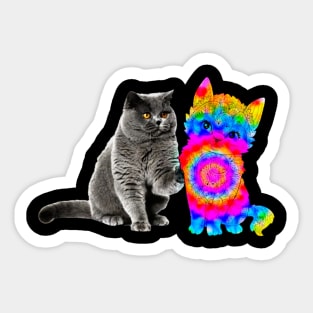 tie dye  pattern cat :different friends colorful Sticker